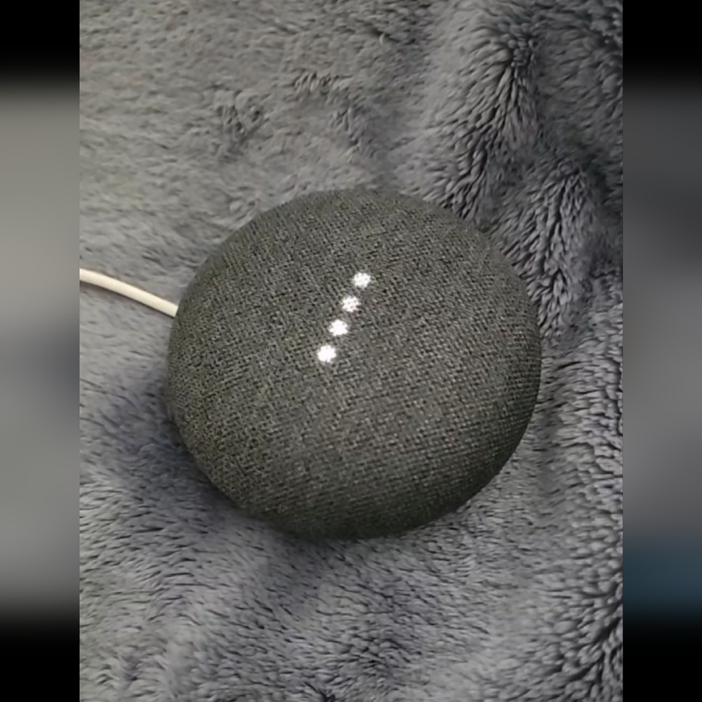 Google Nest Mini